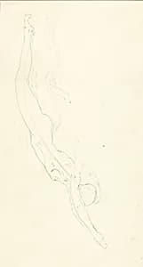 The Plunge #2 by Solon H. Borglum