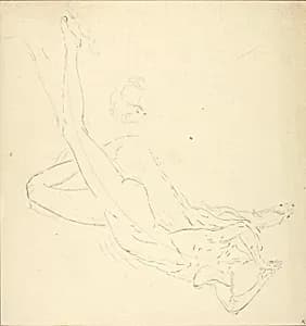 The Plunge #3 by Solon H. Borglum