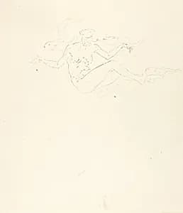 The Plunge #5 by Solon H. Borglum