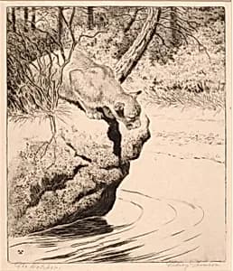 The Watcher by Rodney Thomson