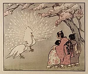 The White Peacock by Helen Hyde