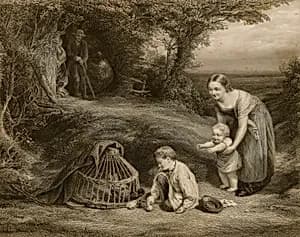 The Young Brood by John Outrim, English