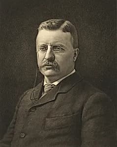 Theodore Roosevelt by Jacques Reich, 10 Aug 1852 - 8 Jul 1923