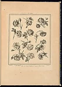 Title Page by Pierre Ranson, French, 1736–1786