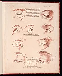 Title Page by Pierre Thomas Le Clerc, French, ca. 1740 - ca. 1796
