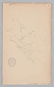 Tree Branch by Robert Frederick Blum, American, 1857–1903