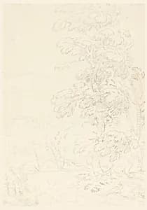 Tree in Landscape by Carlo Marchionni, Italian, 1702–1786
