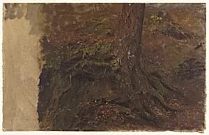 Tree Trunk with Roots by Frederic Edwin Church, American, 1826–1900
