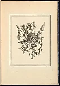 Trophy Design by Pierre Ranson, French, 1736–1786