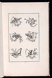 Trophy Designs by Pierre Ranson, French, 1736–1786