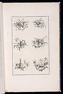Trophy Designs by Pierre Ranson, French, 1736–1786
