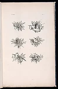 Trophy Designs by Pierre Ranson, French, 1736–1786