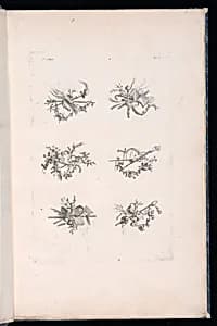 Trophy Designs by Pierre Ranson, French, 1736–1786
