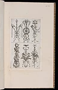 Trophy Designs by D. Antoine Pierretz, French, active 1647