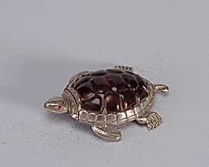 Turtle by T. Johnson