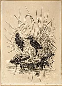Two Birds