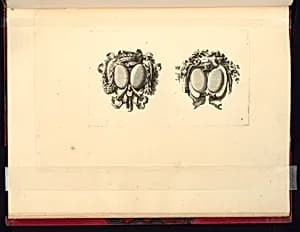 Two Designs for Double Shields