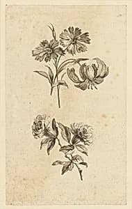 Two Flower Sprigs by Jean-Baptiste Pillement, French, 1728–1808