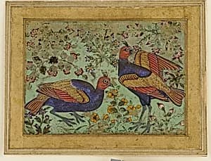 Two pheasants by Unknown