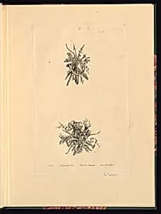 Two Trophy Designs by Jacques Ignace de Latouche, French, 1694 – 1781
