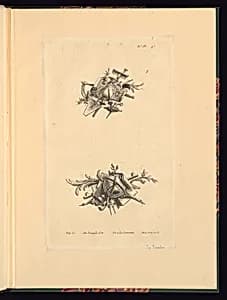 Two Trophy Designs by Jacques Ignace de Latouche, French, 1694 – 1781