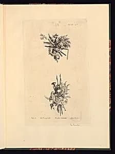 Two Trophy Designs by Jacques Ignace de Latouche, French, 1694 – 1781