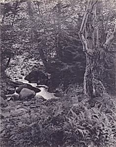 Under the Greenwood Tree by Rudolf Eickemeyer