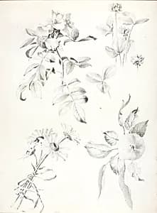 Untitled by George Elbert Burr