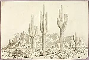 Untitled by George Elbert Burr