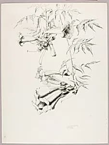 Untitled (Trumpet Vine) by George Elbert Burr