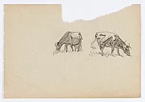Untitled (Two Cows) by Howard Russell Butler