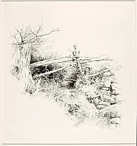 Untitled (Woodland Stream) by George Elbert Burr
