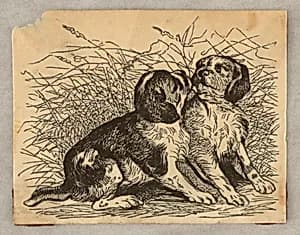 Vignette, Two Dogs by Unknown