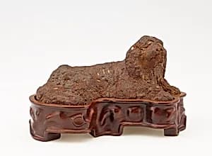 Water Spaniel by Unidentified