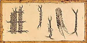 Weaving Feathers by Unidentified (American)