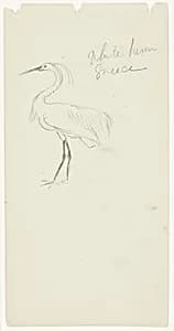 White Heron, Greece by Frederic Edwin Church, American, 1826–1900