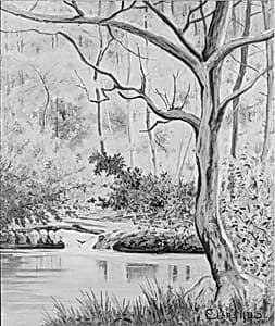 Woodland Brook by Louis Eilshemius, American, b. Arlington, New Jersey, 1864–1941