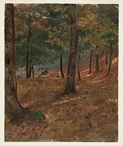 Woodland Scene by Frederic Edwin Church, American, 1826–1900