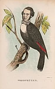 Woodpecker by Max Rosenthal, 23 Nov 1833 - 8 Aug 1918
