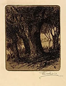 Woods by Earl H. Reed