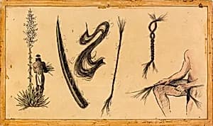 Yucca Rope Manufacture by Unidentified (American)