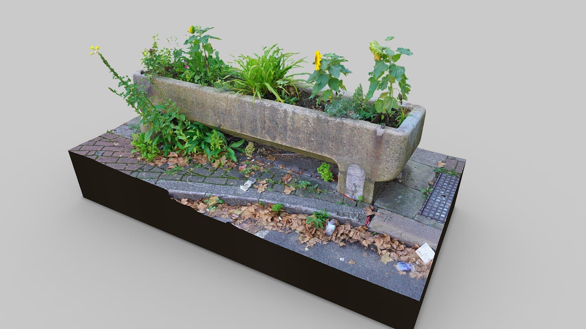 Cattle Trough Vassall Road