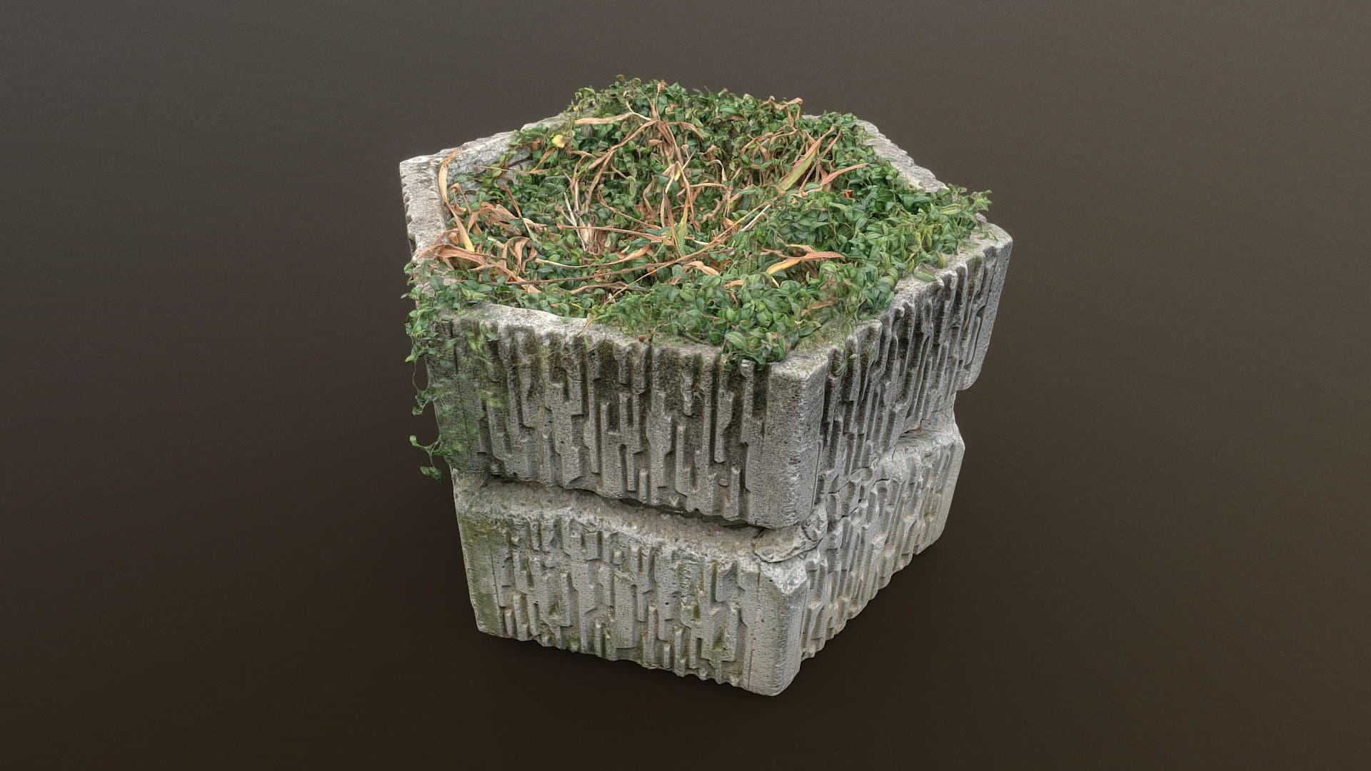 Dual Brutal outdoor concrete hexagon flower pot
