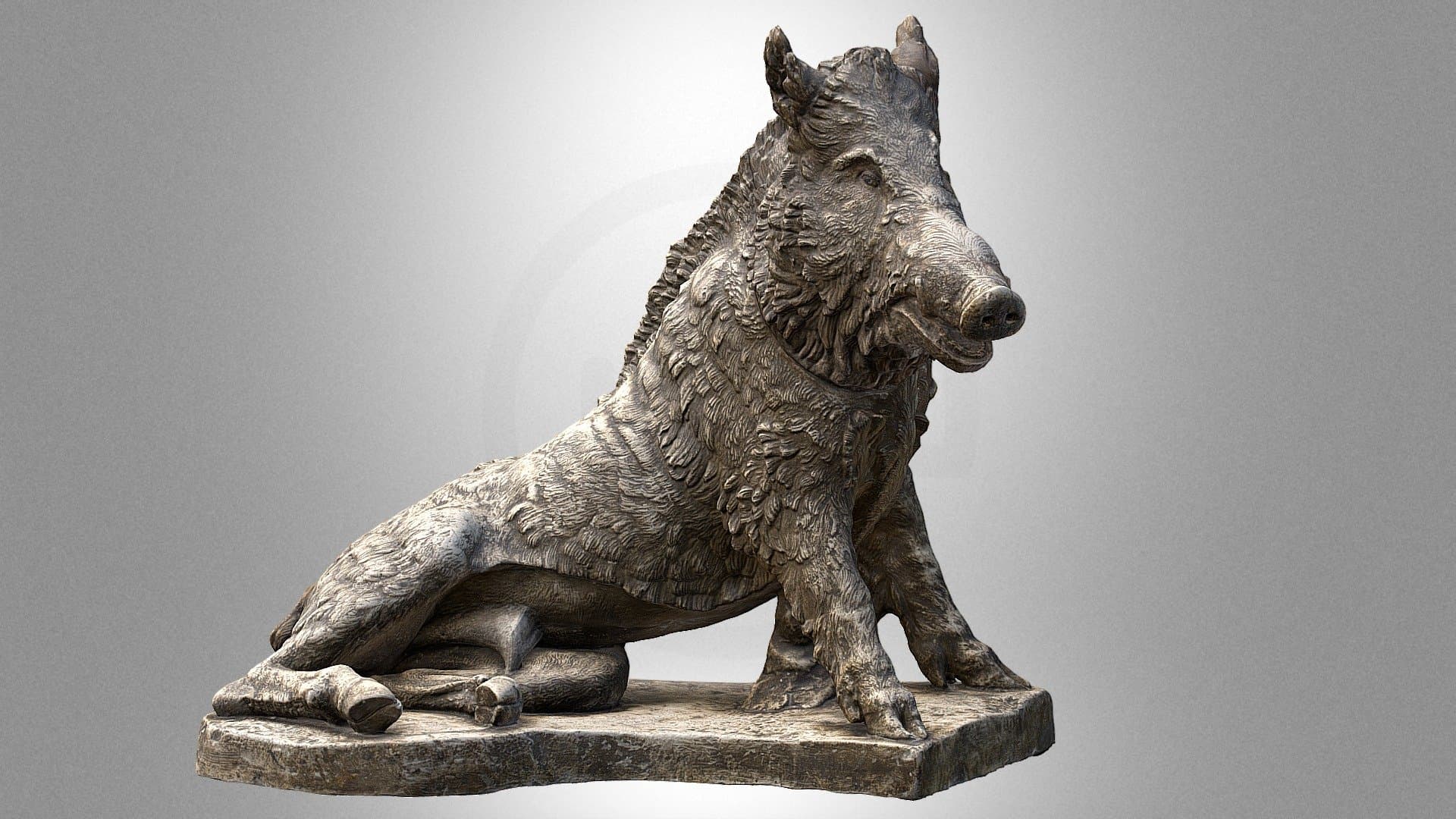 "Wild boar”, a plaster cast of an antique figure