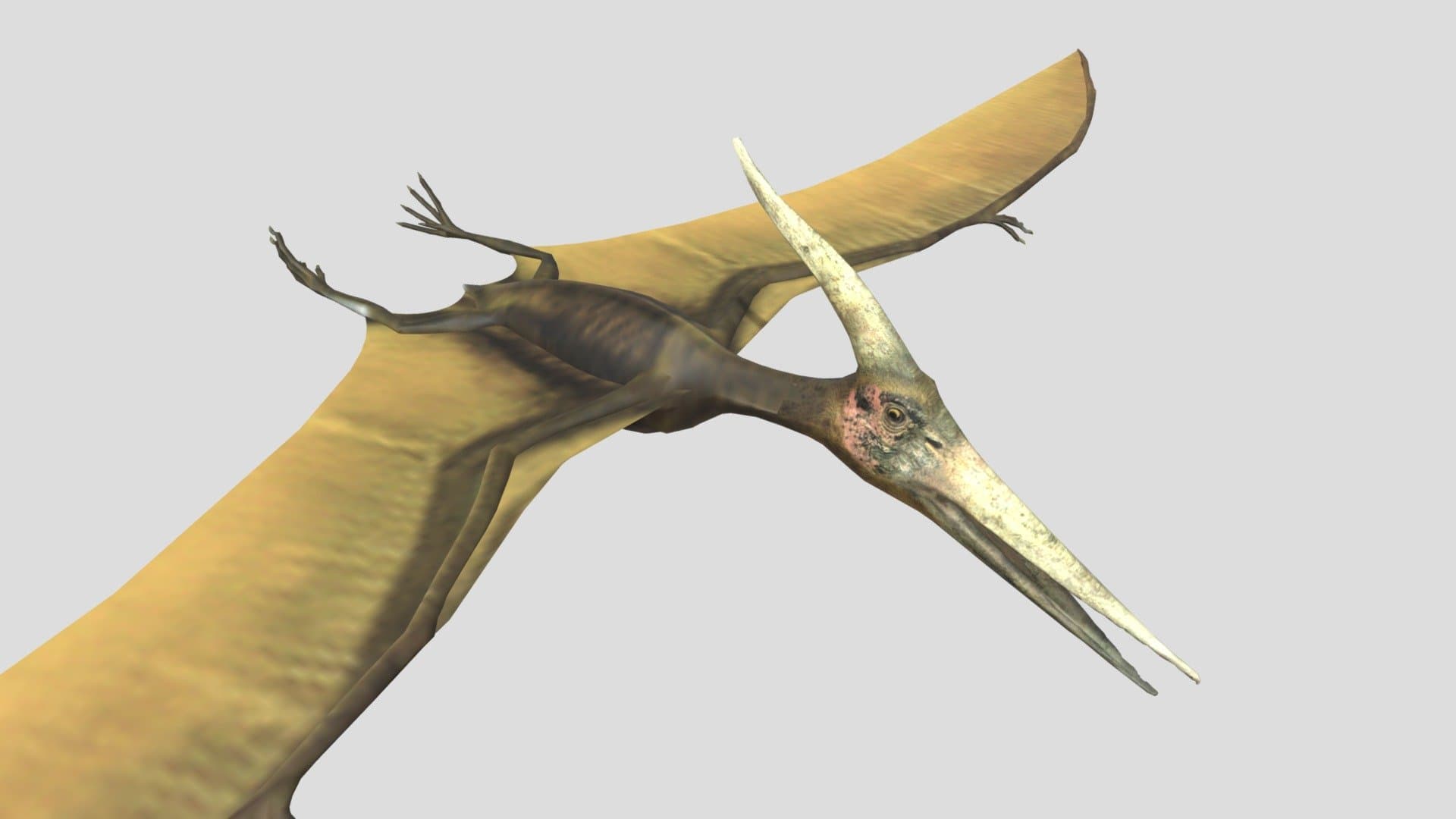 Pterodactyl