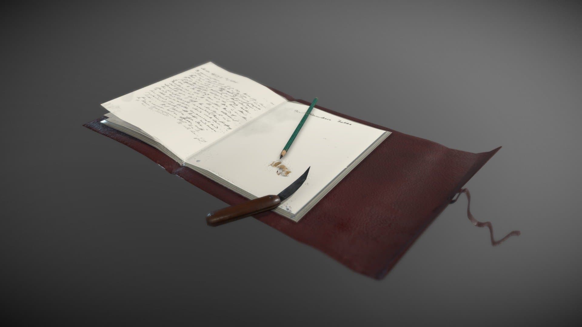 A writer's journal