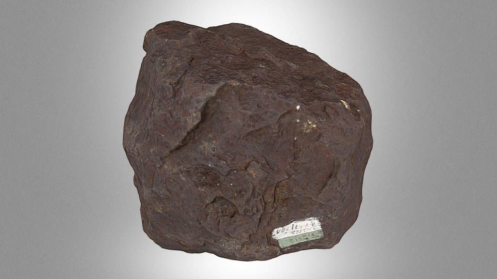 “Vaca Muerta” meteorite