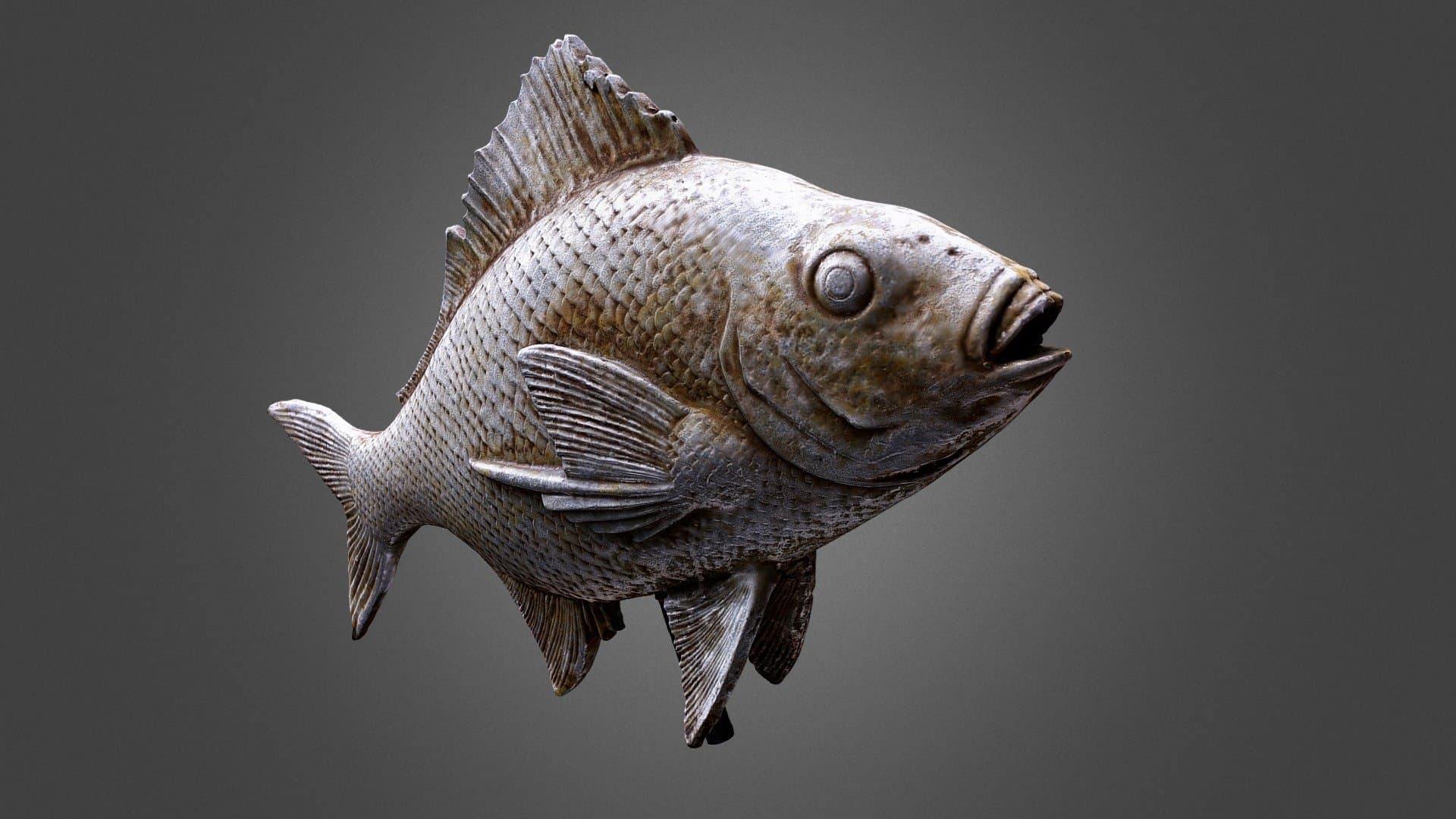 Silverfish