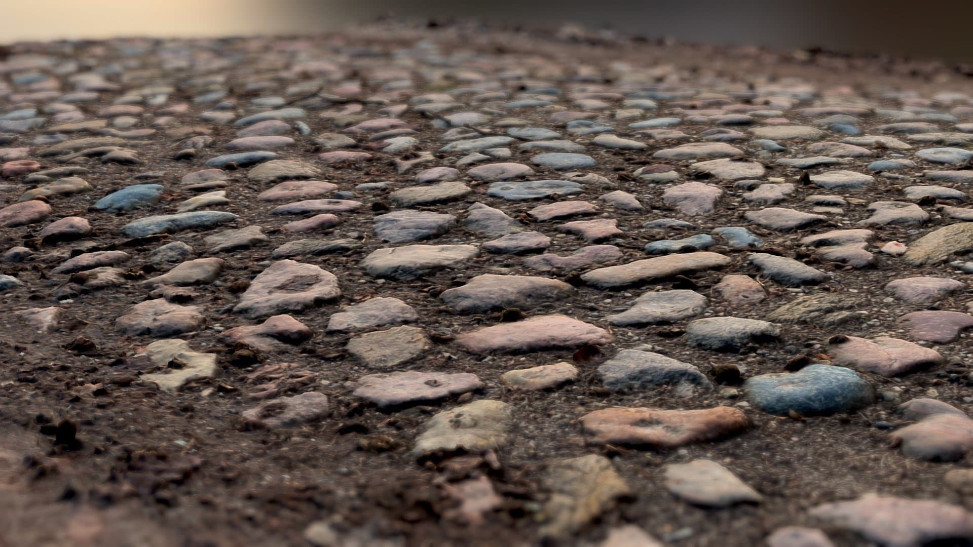 Cobblestone Road near Berlin / RealityScan