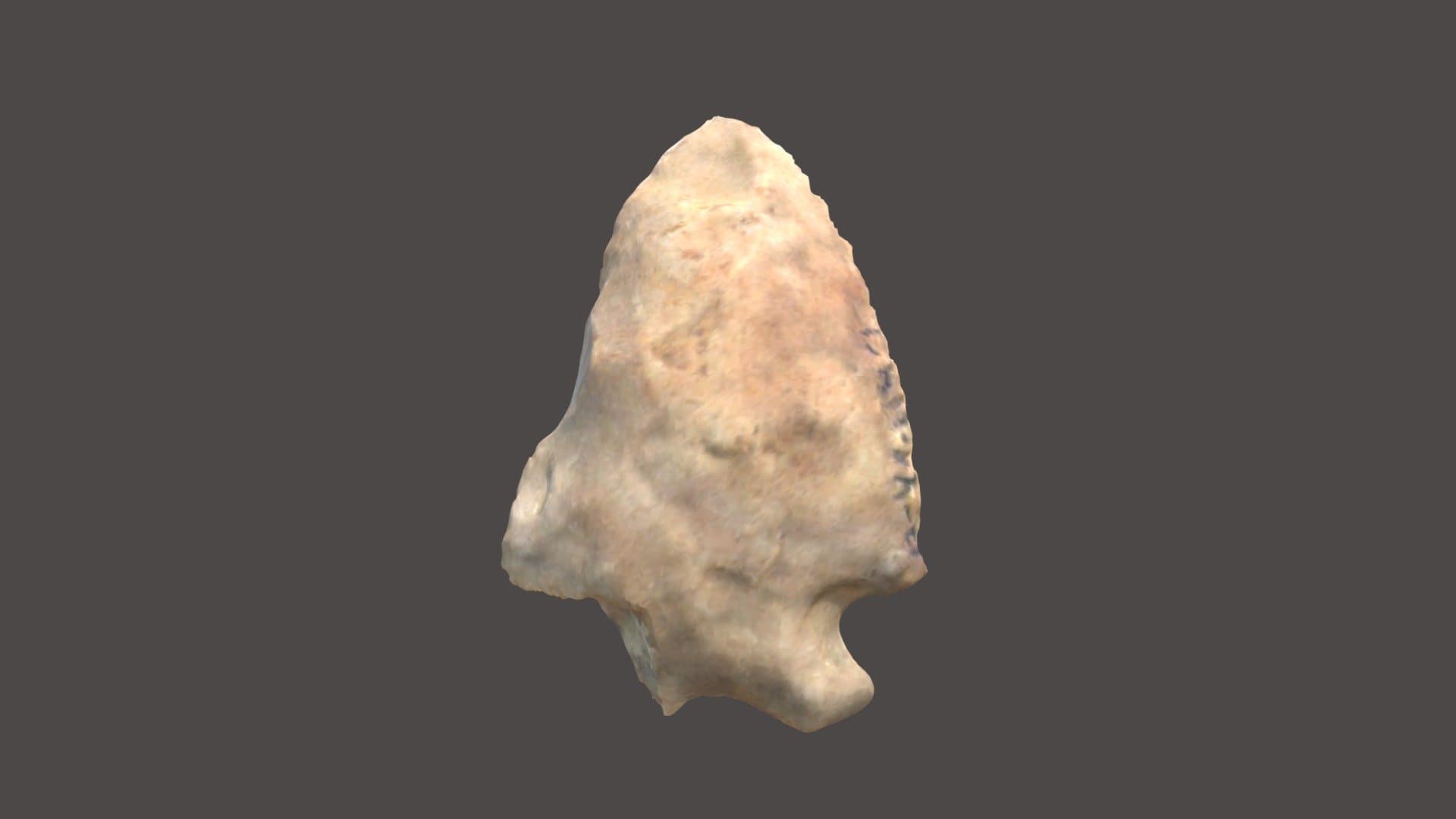 ROI008-081-01
